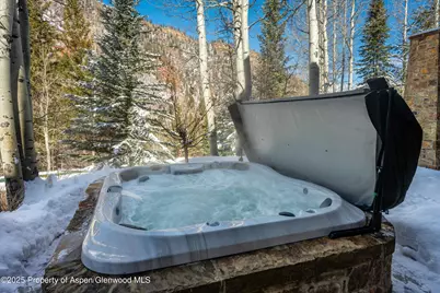 180 Exhibition Lane, Aspen, CO 81611 - Photo 9