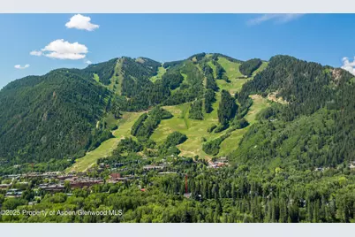 319 Ridge Road, Aspen, CO 81611 - Photo 3