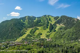 319 Ridge Rd, Aspen, CO 81611 - Photo 3