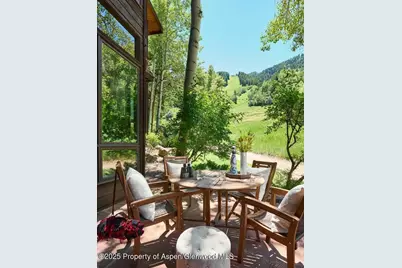 800 S Monarch Street #13, Aspen, CO 81611 - Photo 17