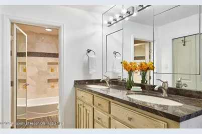 800 S Monarch Street #13, Aspen, CO 81611 - Photo 9