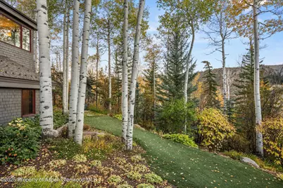 342 Ridge Road, Snowmass Village, CO 81615 - Photo 39