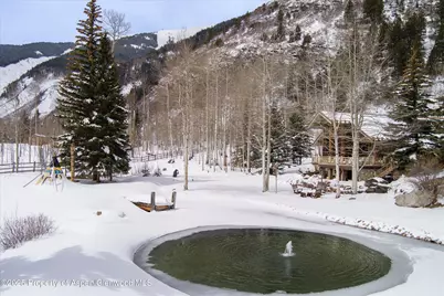 303 Conundrum Creek Road, Aspen, CO 81611 - Photo 39