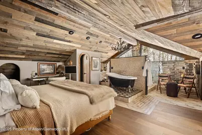 303 Conundrum Creek Road, Aspen, CO 81611 - Photo 15