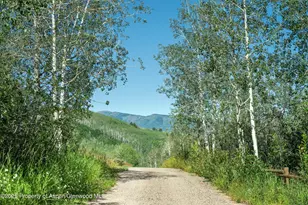 1833 W Buttermilk Rd, Aspen, CO 81611 - Photo 15