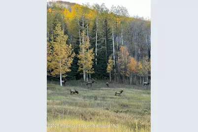 1833 West Buttermilk Road, Aspen, CO 81611 - Photo 9