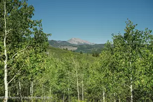 1833 W Buttermilk Rd, Aspen, CO 81611 - Photo 11