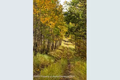 1833 West Buttermilk Road, Aspen, CO 81611 - Photo 17