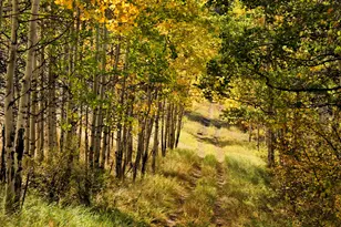 1833 W Buttermilk Rd, Aspen, CO 81611 - Photo 29