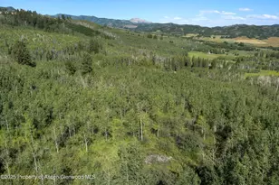 1833 W Buttermilk Rd, Aspen, CO 81611 - Photo 9