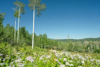 1833 West Buttermilk Road, Aspen, CO 81611 - Photo 3