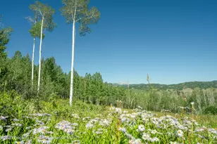 1833 W Buttermilk Rd, Aspen, CO 81611 - Photo 3