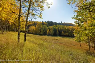 1833 W Buttermilk Rd, Aspen, CO 81611 - Photo 27