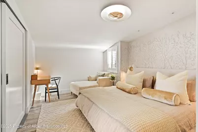 1001 E Cooper Avenue #2, Aspen, CO 81611 - Photo 9