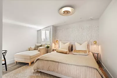 1001 E Cooper Avenue #2, Aspen, CO 81611 - Photo 9