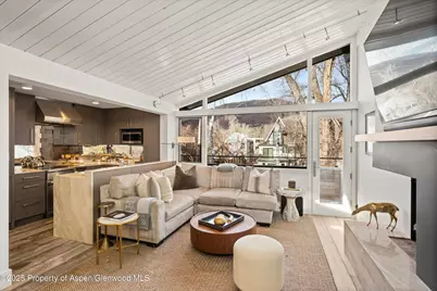 1001 E Cooper Avenue #2, Aspen, CO 81611 - Photo 3