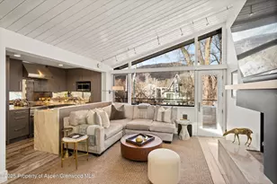 1001 E Cooper Ave, Aspen, CO 81611 - Photo 3