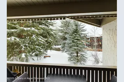601 S S West End Street #7, Aspen, CO 81611 - Photo 13