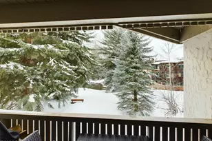 601 S S West End St, Aspen, CO 81611 - Photo 13