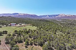 56001 KK Rd, Molina, CO 81646 - Photo 27