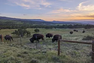 56001 KK Rd, Molina, CO 81646 - Photo 43