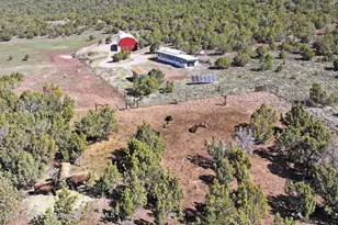 56001 KK Rd, Molina, CO 81646 - Photo 31