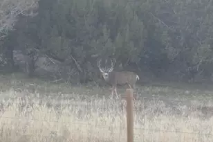 56001 KK Rd, Molina, CO 81646 - Photo 41