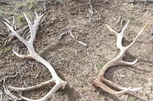 56001 KK Rd, Molina, CO 81646 - Photo 39