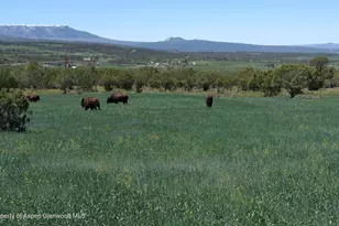 56001 KK Rd, Molina, CO 81646 - Photo 37