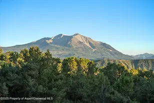 384 Wooden Deer Rd, Carbondale, CO 81623 - Photo 45