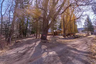 0044 Hooks Ln, Basalt, CO 81621 - Photo 5