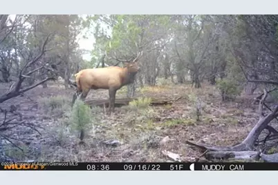 Tbd Tbd, Mesa, CO 81643 - Photo 17