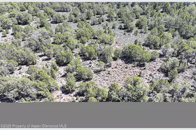 Tbd Tbd, Mesa, CO 81643 - Photo 5
