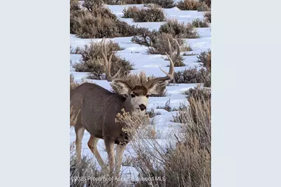 Tbd Tbd, Mesa, CO 81643 - Photo 13