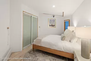 699 Eppley Dr, Aspen, CO 81611 - Photo 29