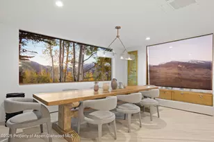 699 Eppley Dr, Aspen, CO 81611 - Photo 13