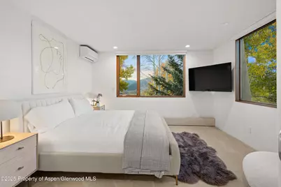 699 Eppley Drive, Aspen, CO 81611 - Photo 33