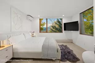 699 Eppley Dr, Aspen, CO 81611 - Photo 33