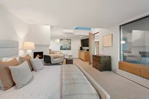 699 Eppley Dr, Aspen, CO 81611 - Photo 17