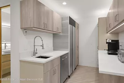 699 Eppley Drive, Aspen, CO 81611 - Photo 15