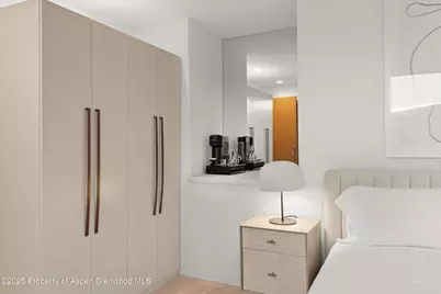 699 Eppley Drive, Aspen, CO 81611 - Photo 37