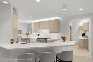 699 Eppley Dr, Aspen, CO 81611 - Photo 9