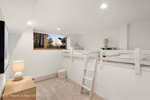 699 Eppley Dr, Aspen, CO 81611 - Photo 27