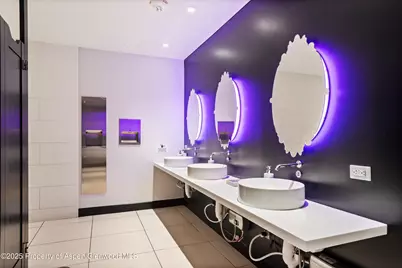 550 S Spring Street #Commercial, Aspen, CO 81611 - Photo 15