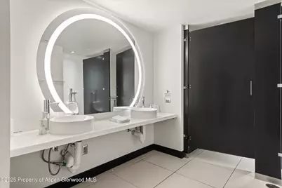 550 S Spring Street #Commercial, Aspen, CO 81611 - Photo 11