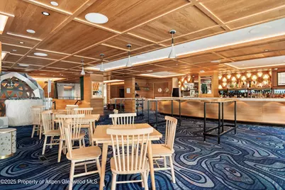 550 S Spring Street #Commercial, Aspen, CO 81611 - Photo 9