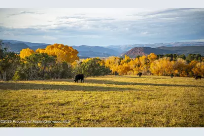 1634 Prince Creek Road, Carbondale, CO 81623 - Photo 19