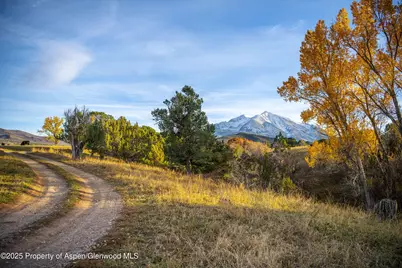 1634 Prince Creek Road, Carbondale, CO 81623 - Photo 9