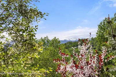 35 Lower Woodbridge Road #W 184, Snowmass Village, CO 81615 - Photo 27