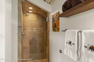 35 Lower Woodbridge Rd, Snowmass Village, CO 81615 - Photo 23